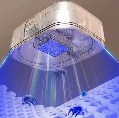 Asciugatrice Portatile Compatta - Design Innovativo a Capsula per Viaggi, Dormitori e Piccoli Spazi