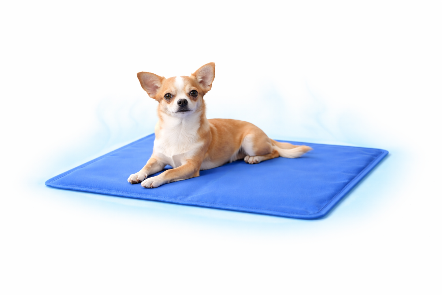 Tappetino Rinfrescante per Cani e Gatti 40x50 cm, Cooling Mat Pieghevole, Superficie Impermeabile, Tappeto Estivo per Animali Domestici, Ideale per Casa, Cucce, Divano e Viaggio – Blu