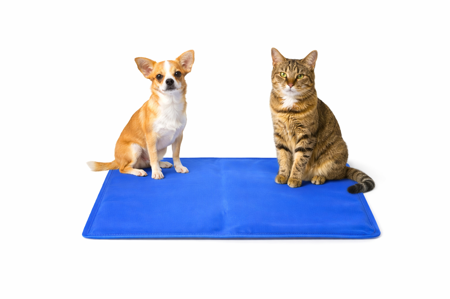 Tappetino Rinfrescante per Cani e Gatti 40x50 cm, Cooling Mat Pieghevole, Superficie Impermeabile, Tappeto Estivo per Animali Domestici, Ideale per Casa, Cucce, Divano e Viaggio – Blu
