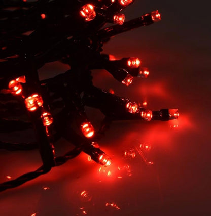 Catena Luci Natalizie LED Luce Fredda – Filo Verde, Metri, Uso Interno, con Controller DFH