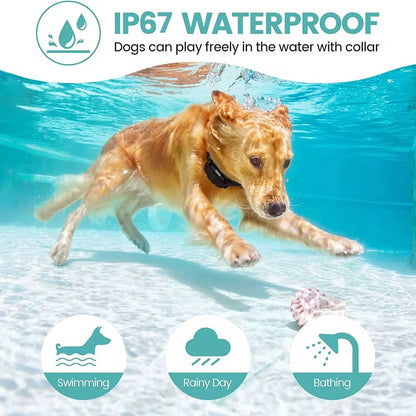 Il Collare di Addestramento per Cani - BDIT ACCESSORI